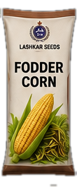Fodder Corn
