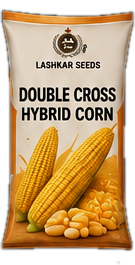Double Cross Hybrid Corn