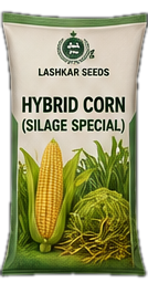 Hybrid Corn — Silage Special