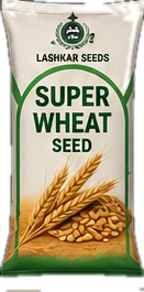Super Wheat Seed