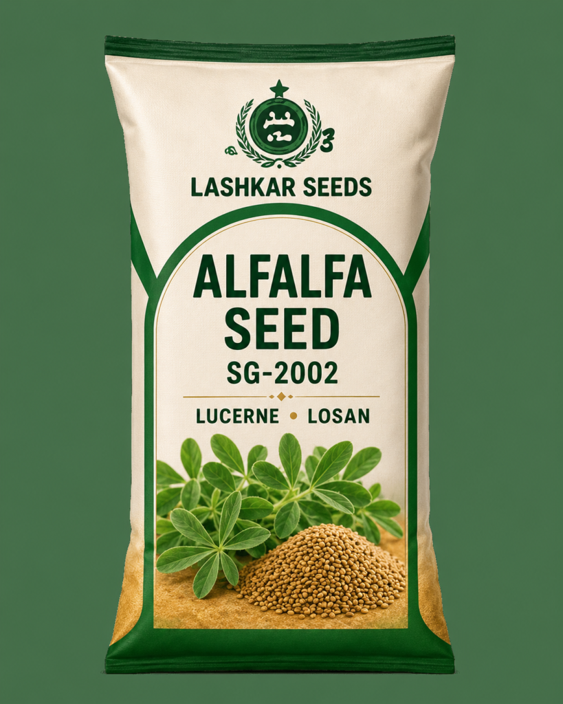 Alfalfa Seed — Lashkar Seeds