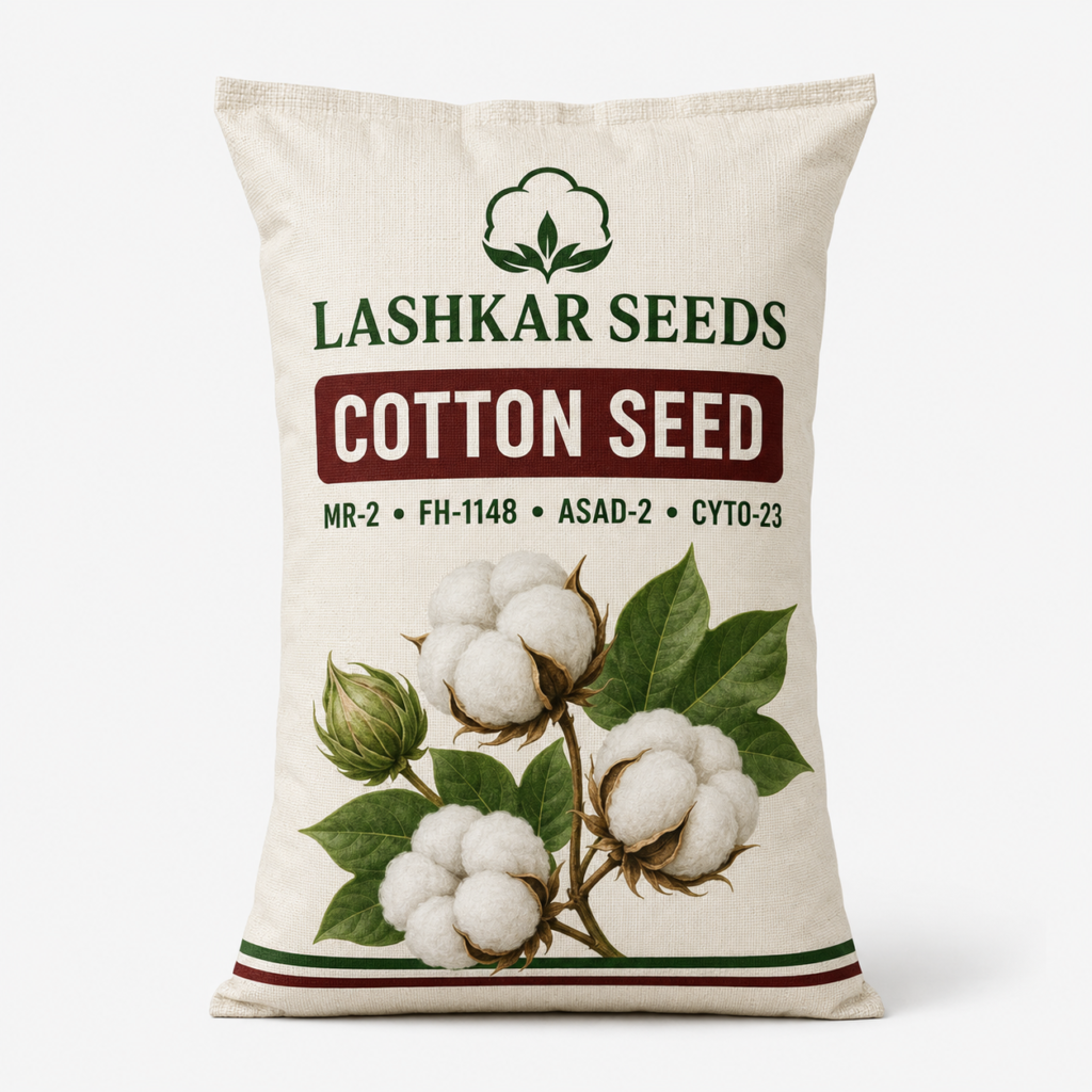 Cotton Seed — Lashkar Seeds