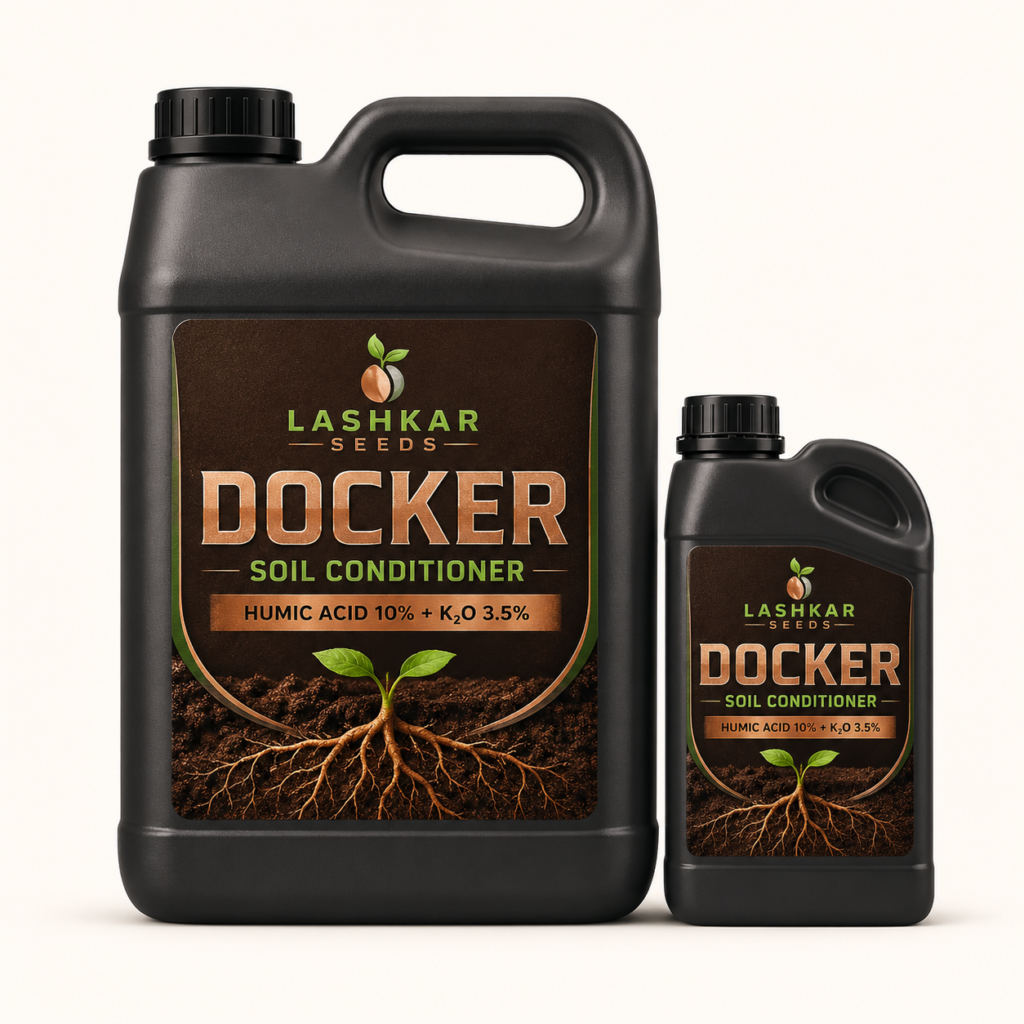 Docker — Lashkar Seeds
