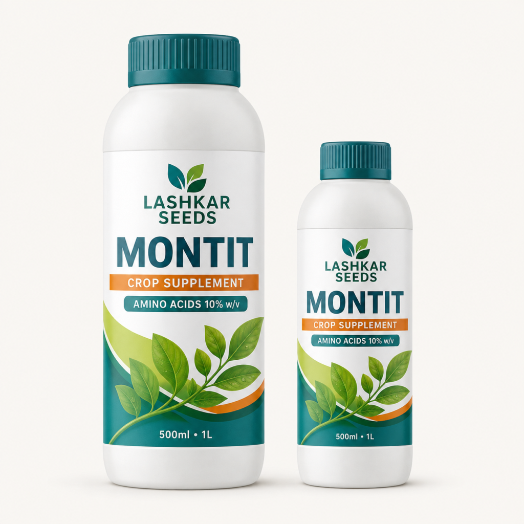 Montit — Lashkar Seeds