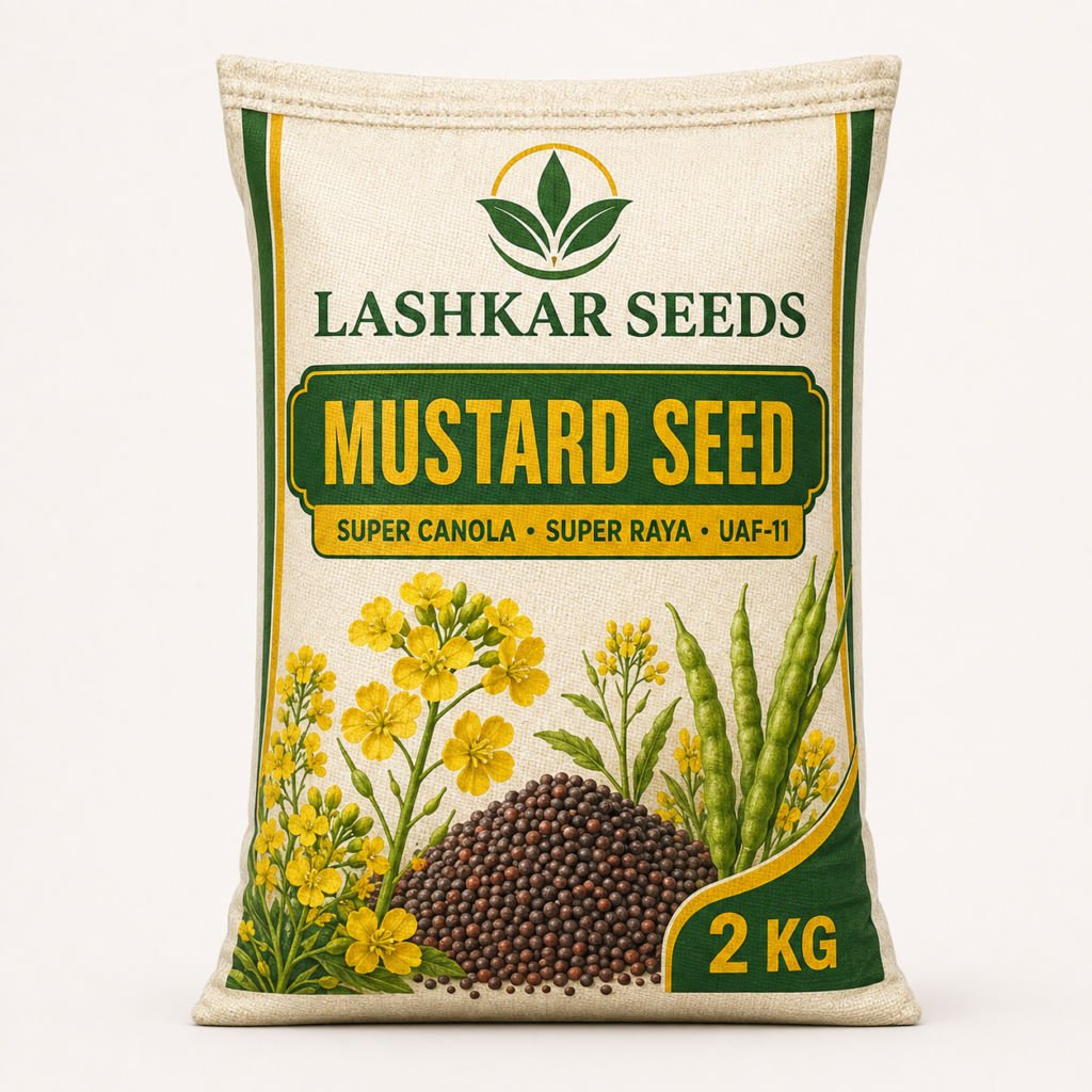 Mustard Seed — Lashkar Seeds