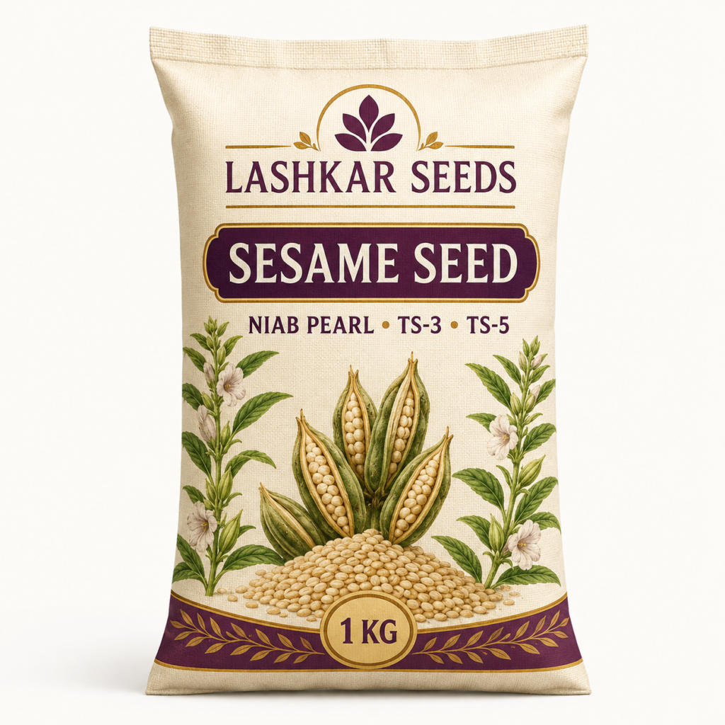 Sesame Seed — Lashkar Seeds
